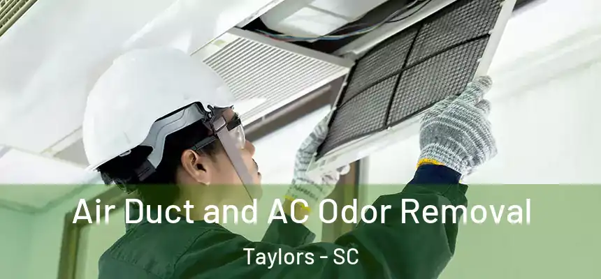  Air Duct and AC Odor Removal Taylors - SC