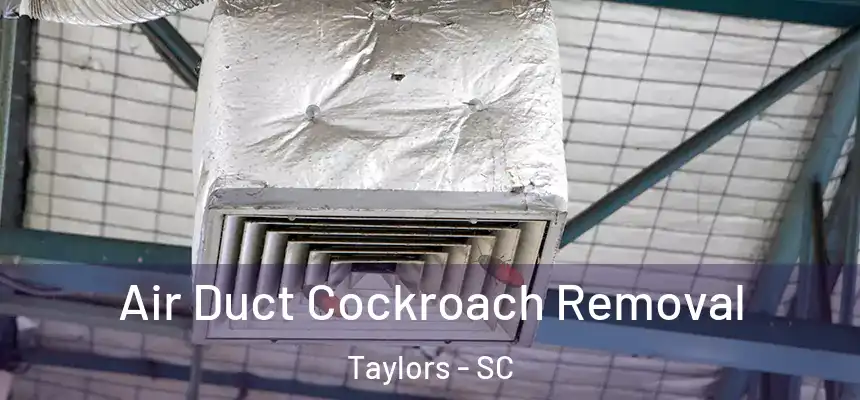 Air Duct Cockroach Removal Taylors - SC