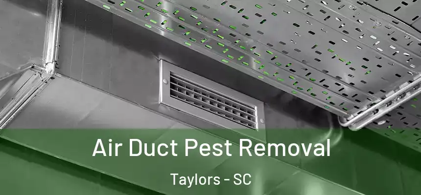  Air Duct Pest Removal Taylors - SC
