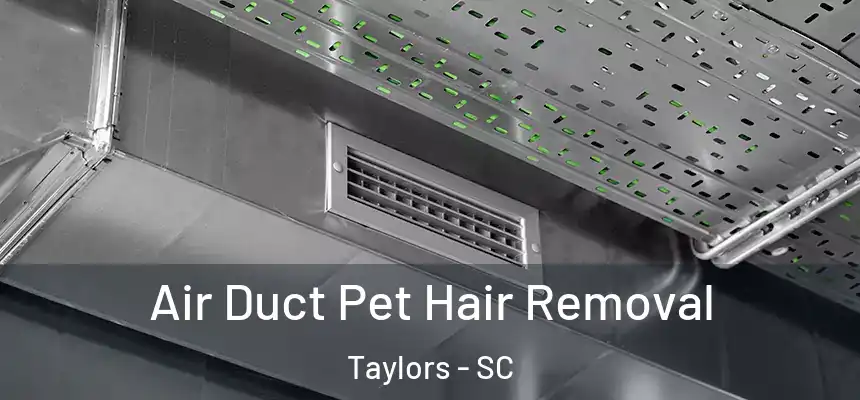  Air Duct Pet Hair Removal Taylors - SC
