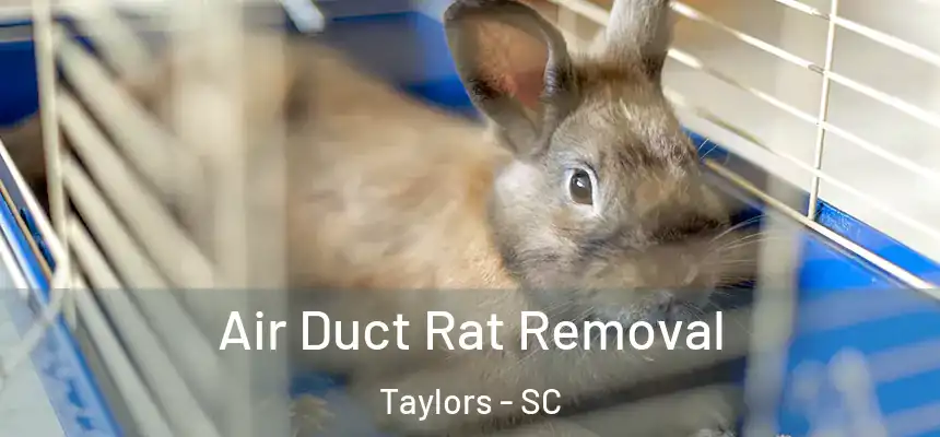  Air Duct Rat Removal Taylors - SC