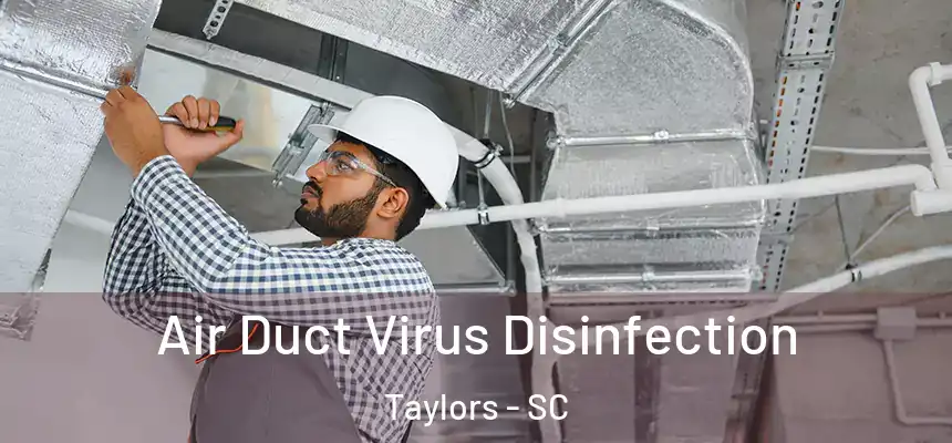  Air Duct Virus Disinfection Taylors - SC