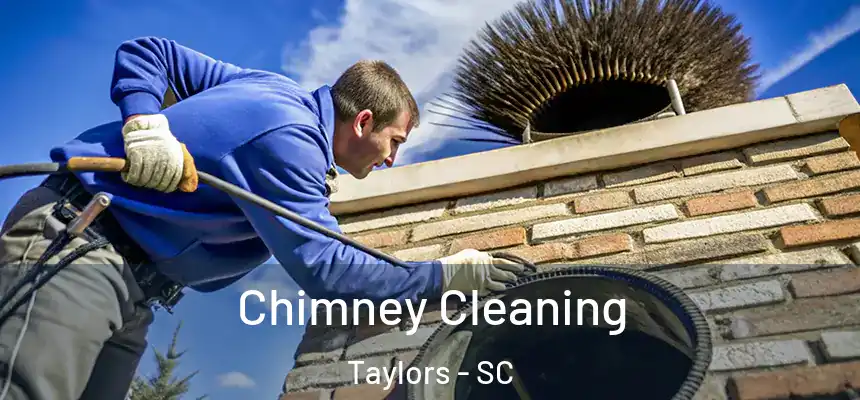  Chimney Cleaning Taylors - SC