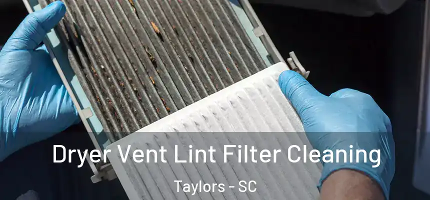  Dryer Vent Lint Filter Cleaning Taylors - SC