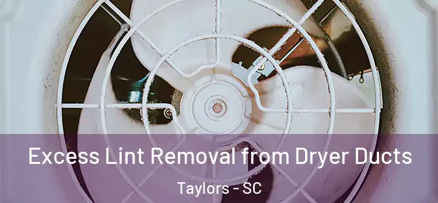  Excess Lint Removal from Dryer Ducts Taylors - SC