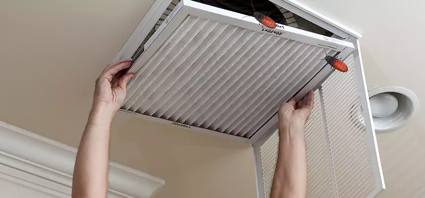 Preventive Cockroach-Proofing for Ducts in Taylors