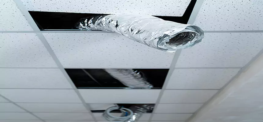 Affordable HVAC Sanitizing After Pest Removal in Taylors