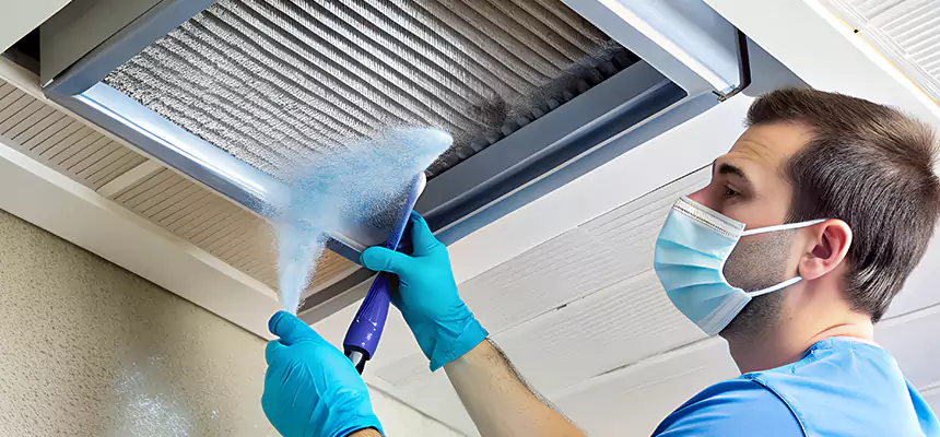 Proactive Dryer Vent & Auxiliary Duct Pollen Cleanup in Taylors, SC