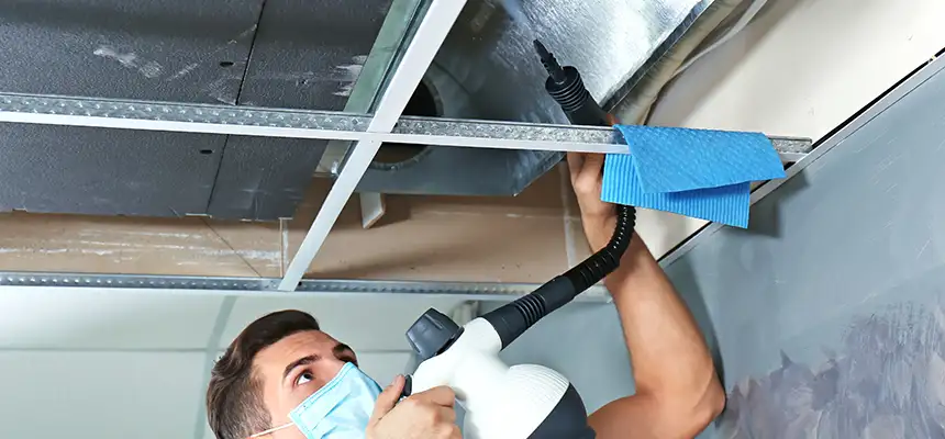 Our Air Duct Rodent Removal Services in Taylors, SC