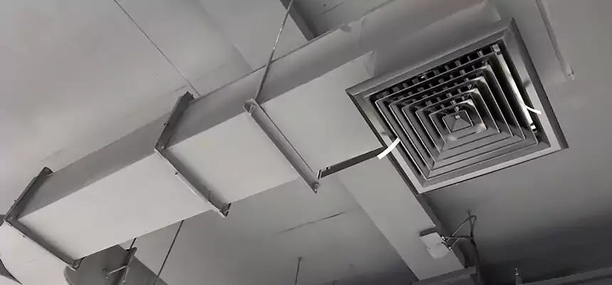 Restorative Allergy Relief Vent Cleaning – Coil, Blower & Housing Detail in Taylors