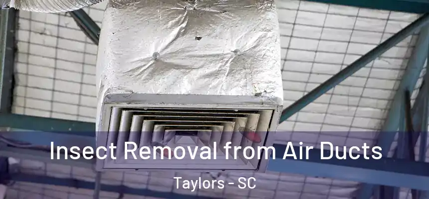  Insect Removal from Air Ducts Taylors - SC