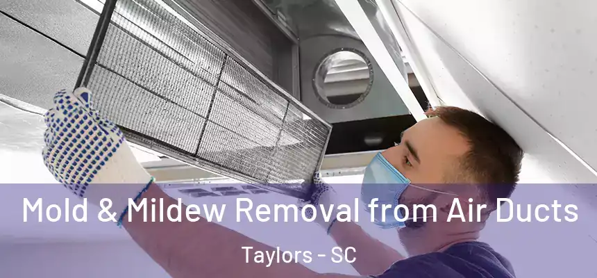  Mold & Mildew Removal from Air Ducts Taylors - SC