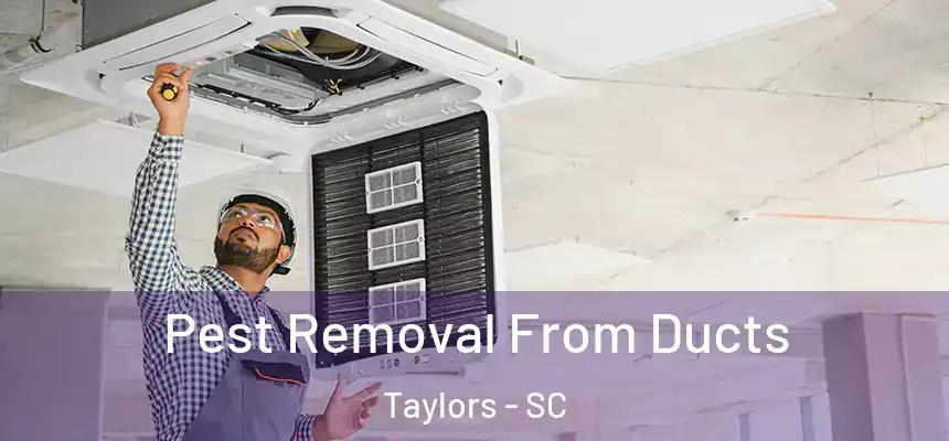  Pest Removal From Ducts Taylors - SC