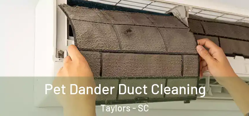  Pet Dander Duct Cleaning Taylors - SC