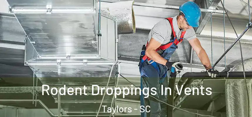  Rodent Droppings In Vents Taylors - SC