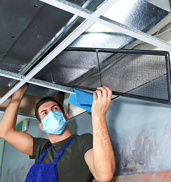 Professional Air Duct Pollen Cleaning in Taylors, SC