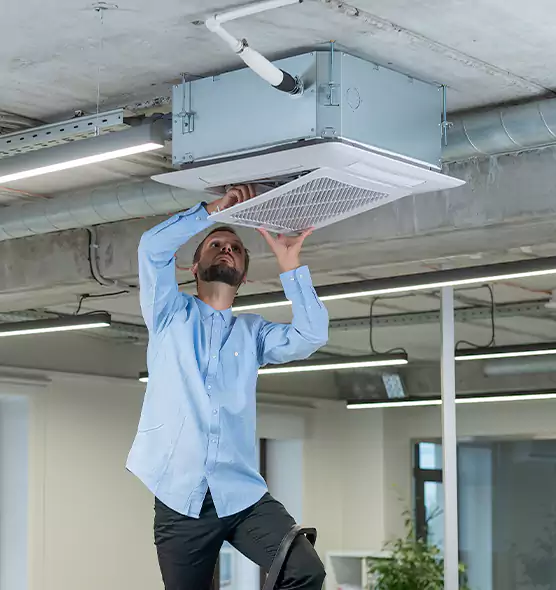 Advanced Rodent Droppings In Vents in Taylors, SC