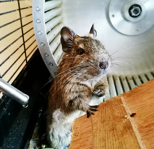 Why Homeowners & Businesses Trust Us Taylors, SC