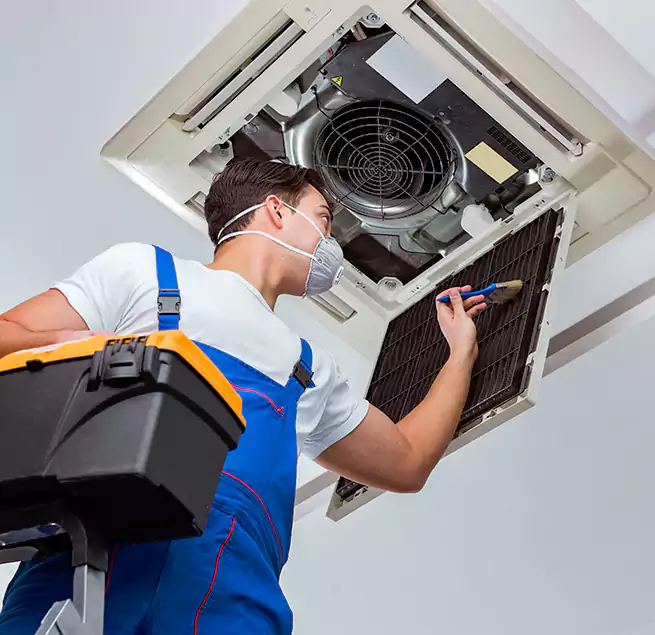 Why Homeowners & Businesses Trust Us in Taylors, SC